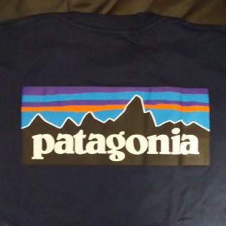 パタゴニア(patagonia)の【長袖 M】☆新品・未使用☆ patagonia パタゴニア ロンT(Tシャツ/カットソー(七分/長袖))