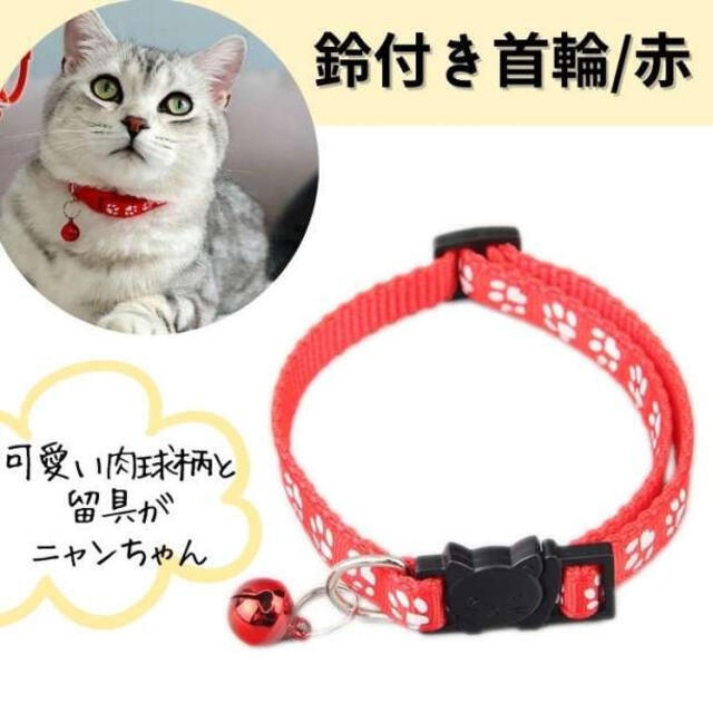 ペット 首輪 肉球 赤 鈴付き 猫 小型犬 レッド お揃い 猫好き/犬好きさん その他のペット用品(猫)の商品写真