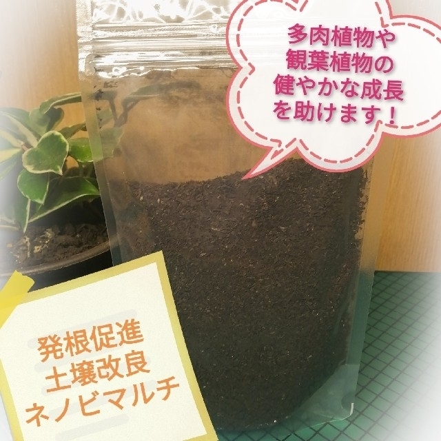 (専用)発根促進・土壌改良【ネノビマルチ】観葉植物