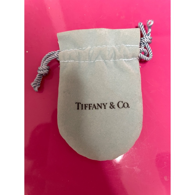 Tiffany & Co.(ティファニー)のティファニー  TIFFANY&Coネックレス しし座　flutty様 レディースのアクセサリー(ネックレス)の商品写真