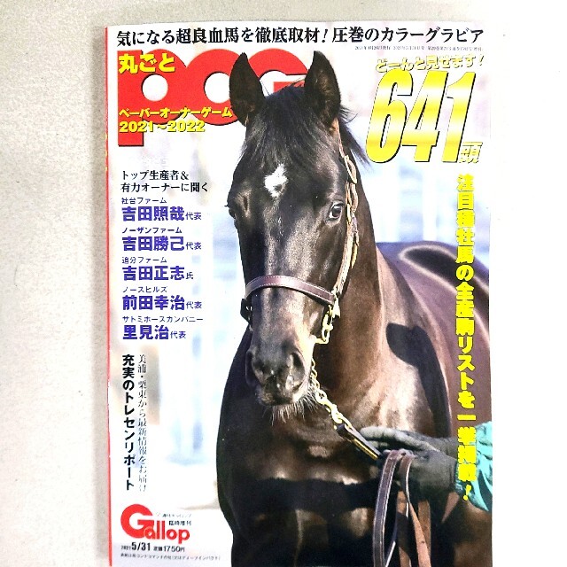 週刊ギャロップ臨時増刊POG2021~2022　2022~2023   2セット エンタメ/ホビーの本(趣味/スポーツ/実用)の商品写真