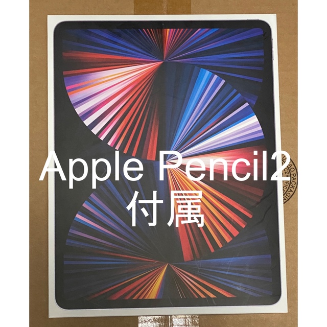 【美品】iPad Pro第5世代Apple Pencil付き