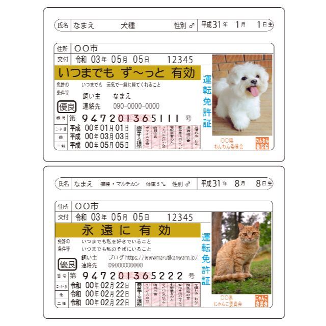 ペット免許証2枚組　記念カード　思い出カード　シール付き その他のペット用品(その他)の商品写真