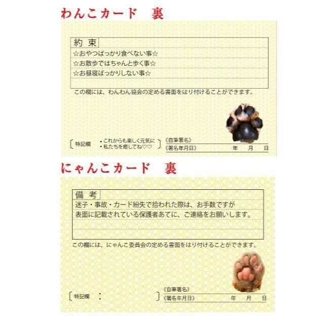 ペット免許証2枚組　記念カード　思い出カード　シール付き その他のペット用品(その他)の商品写真