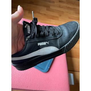 プーマ(PUMA)のPUMA プーマ　レザースニーカー　スニーカー　22.5(スニーカー)