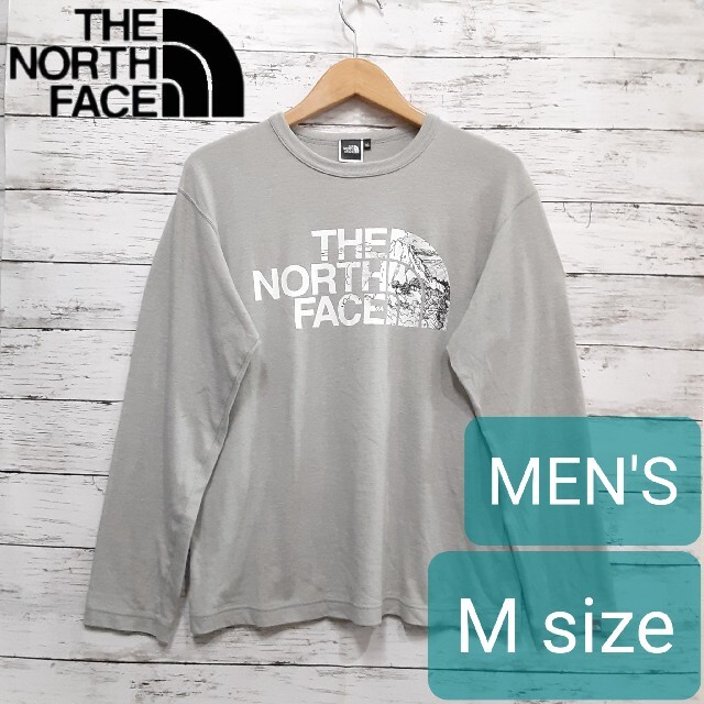 THE NORTH FACE ザノースフェイス メンズTシャツ M キャンプ