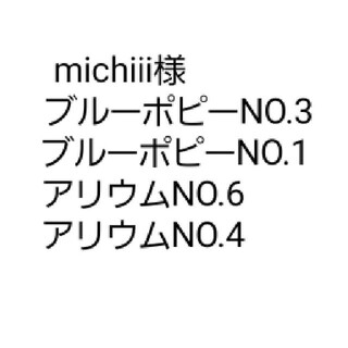 michiii様専用(その他)