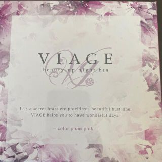 VIAGE ヴィアージュ　ナイトブラ(ブラ)