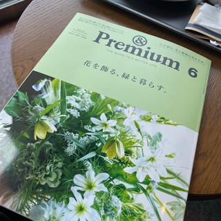 マガジンハウス(マガジンハウス)の&Premium (アンド プレミアム) 2022年 06月号(その他)