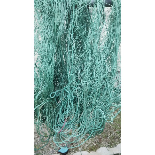 海苔網15枚(緑)