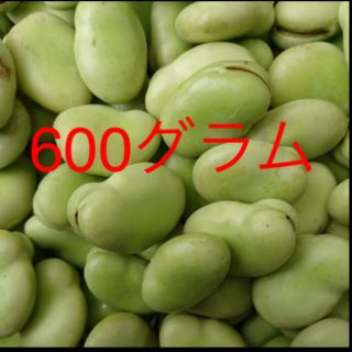 そら豆　むきそら豆(野菜)