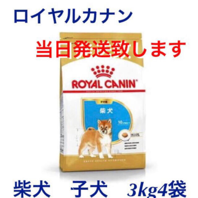 ロイヤルカナン　ドッグフード　柴犬　子犬　総合栄養食