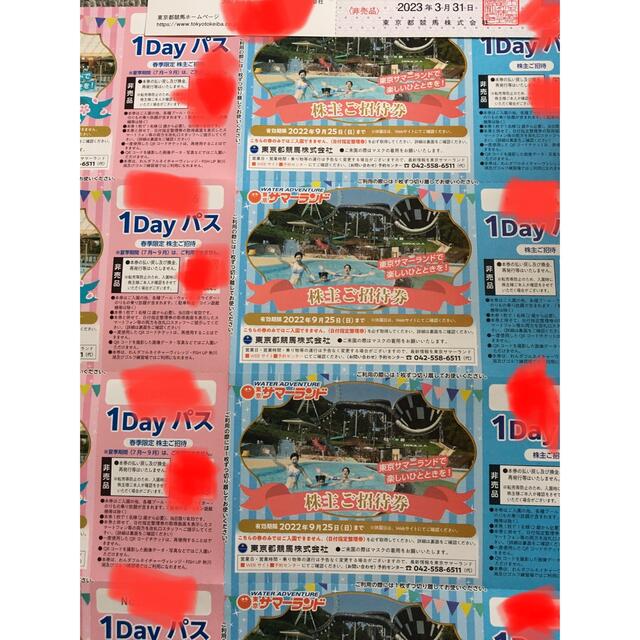 東京都競馬 株主優待 東京サマーランド1デイパス 8枚 - 遊園地/テーマ