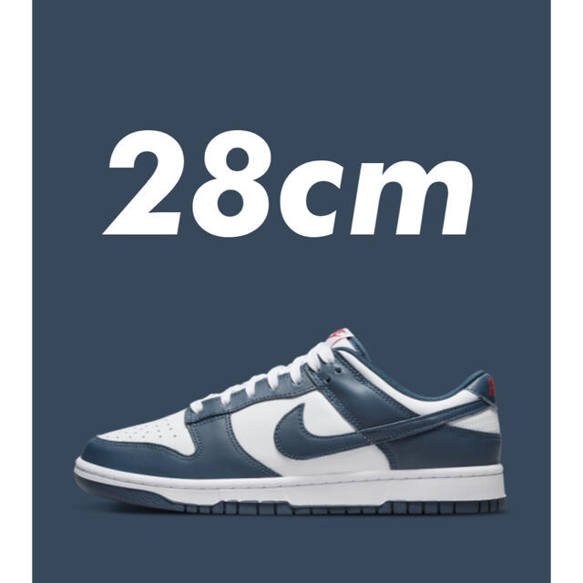 NIKE DUNK LOW RETRO Valerian Blue 【返品不可】 52.0%OFF