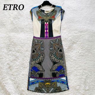 エトロ(ETRO)の【美品】ETRO  ワンピース　絵画　フレンチスリーブ　総柄　イタリア製(ロングワンピース/マキシワンピース)