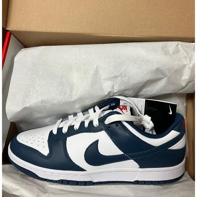 NIKE DUNK LOW バレリアンブルー　新品未使用‼️