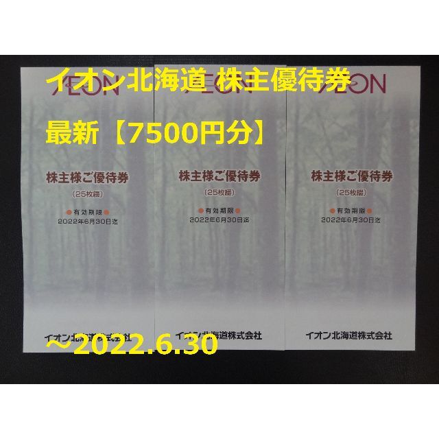 最新【7500円分】イオン北海道 株主優待券 ～2023.6.30 - ショッピング