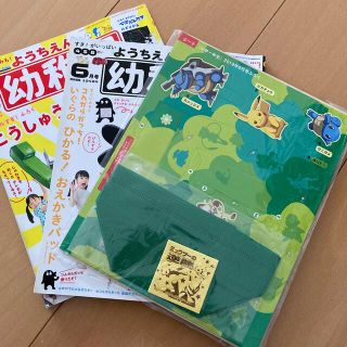 ショウガクカン(小学館)の幼稚園　雑誌　ふろく(絵本/児童書)