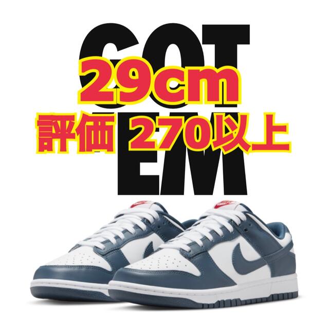 NIKE(ナイキ)のNike Dunk Low Valerian Blue 29cm メンズの靴/シューズ(スニーカー)の商品写真