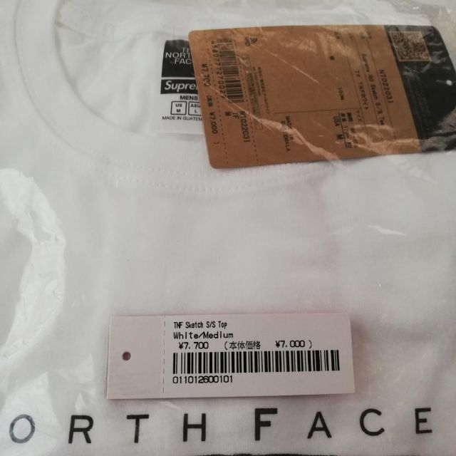 Supreme(シュプリーム)のSupreme x The North Face Sketch Tシャツ M メンズのトップス(Tシャツ/カットソー(半袖/袖なし))の商品写真