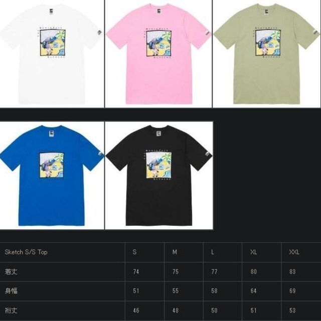 Supreme(シュプリーム)のSupreme x The North Face Sketch Tシャツ M メンズのトップス(Tシャツ/カットソー(半袖/袖なし))の商品写真