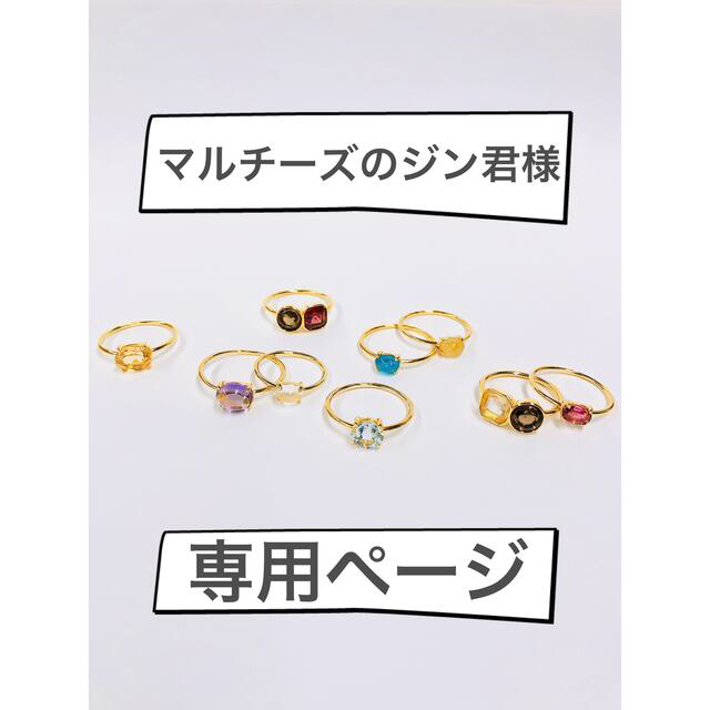 マルチーズのジン君様専用ページ レディースのアクセサリー(リング(指輪))の商品写真