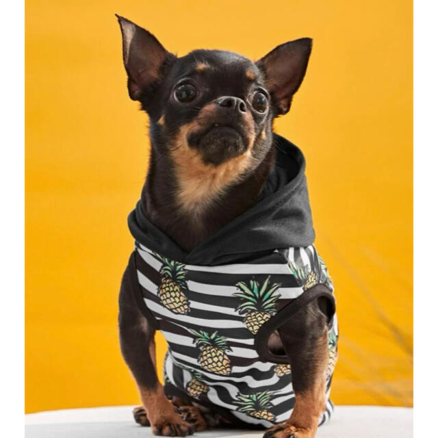 犬服 ドッグウェア  Mサイズ ハンドメイドのペット(ペット服/アクセサリー)の商品写真