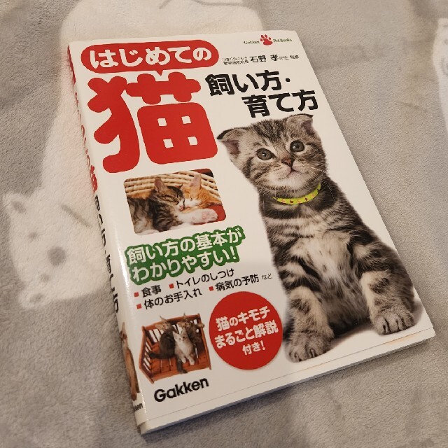 学研(ガッケン)のはじめての猫飼い方・育て方 飼い方の基本がわかりやすい！ エンタメ/ホビーの本(住まい/暮らし/子育て)の商品写真