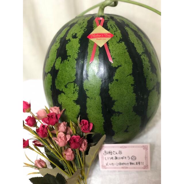 kupanvivi様専用　熊本植木M玉一つ入スイカ 食品/飲料/酒の食品(フルーツ)の商品写真