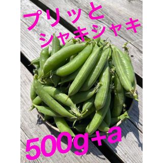 スナップエンドウ　無農薬(野菜)