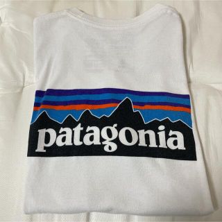 パタゴニア(patagonia)のせいちゃん様専用 Patagonia Tシャツ(Tシャツ/カットソー(半袖/袖なし))