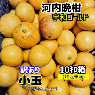 愛媛産【農家直送】☆河内晩柑(宇和ゴールド)☆小玉 訳あり 10ｷﾛ箱(フルーツ)