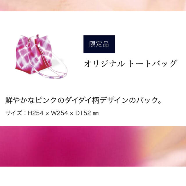 Estee Lauder(エスティローダー)のエスティローダー マザーズ デイ 2022 バッグ コスメ/美容のキット/セット(コフレ/メイクアップセット)の商品写真