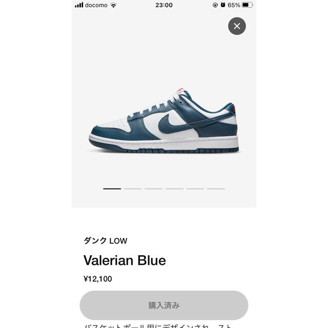 靴/シューズNike Dunk Low "Valerian Blue"