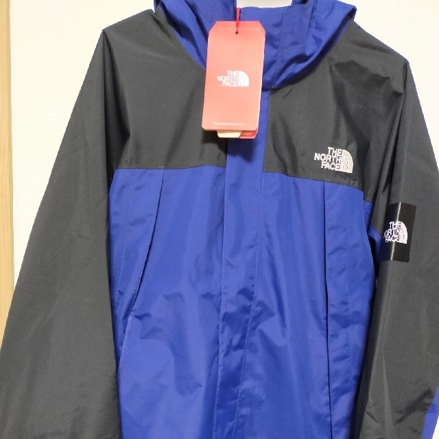 最安【日本未発売】【肩ロゴ】THE NORTH FACE マウンテンパーカー　L メンズのジャケット/アウター(マウンテンパーカー)の商品写真