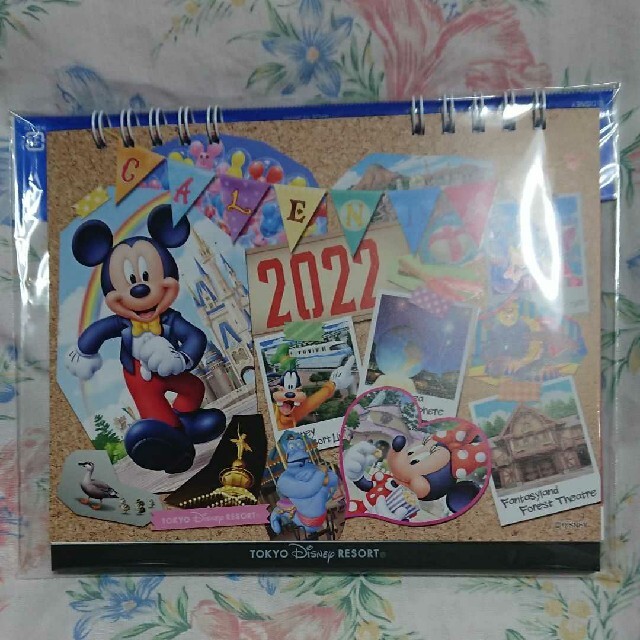 Disney(ディズニー)の【１０点】新品 東京ディズニーリゾート ショップ袋 １０枚 レディースのバッグ(ショップ袋)の商品写真
