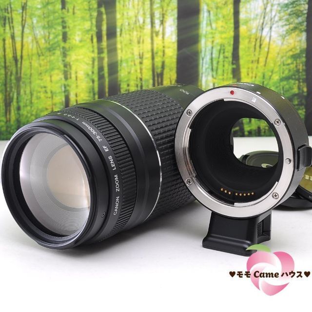 Canon純正マウントアダプターと300mm望遠レンズセット☆2715