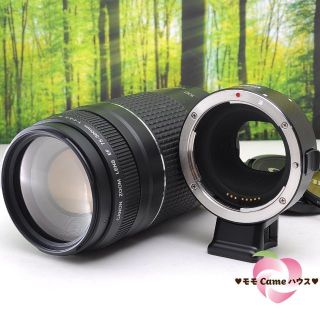 キヤノン(Canon)のCanon純正マウントアダプターと300mm望遠レンズセット☆2715(レンズ(ズーム))