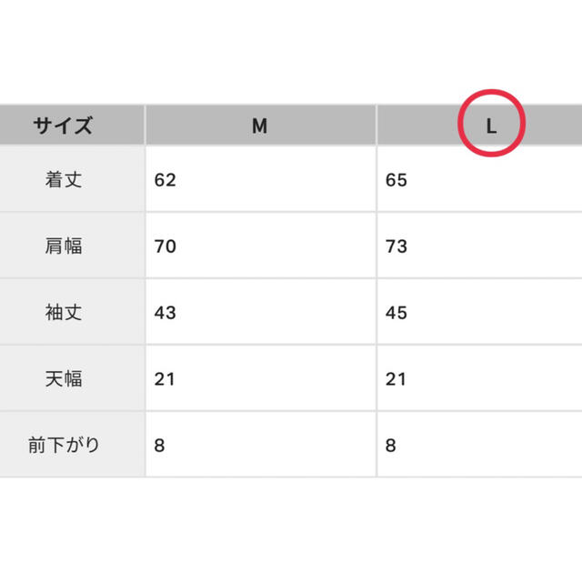 coca ブラウス バルーンスリーブ L レディースのトップス(シャツ/ブラウス(長袖/七分))の商品写真