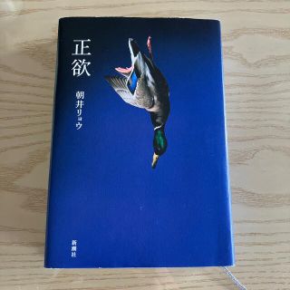 正欲(文学/小説)