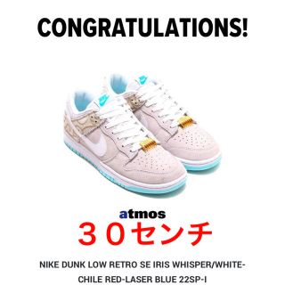 ナイキ(NIKE)のNIKE Dunk Low "Barber Shop Grey" ３０センチ(スニーカー)