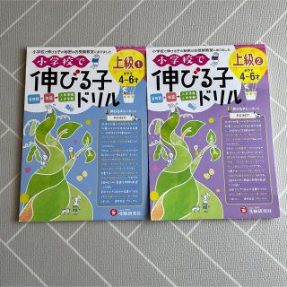 小学校で伸びる子ドリル　上級 全知能＋知識→入学準備・小学受験 １(語学/参考書)