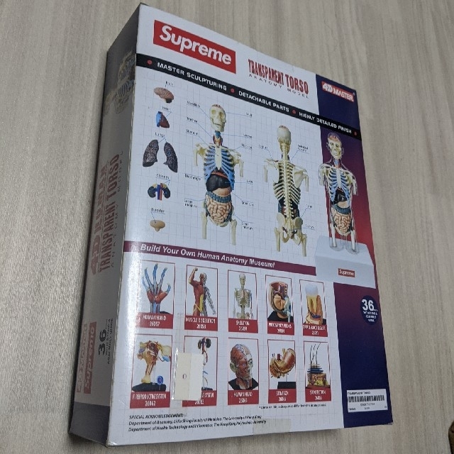 Supreme(シュプリーム)の最安値 supreme Male Anatomy Model 18aw エンタメ/ホビーのおもちゃ/ぬいぐるみ(模型/プラモデル)の商品写真