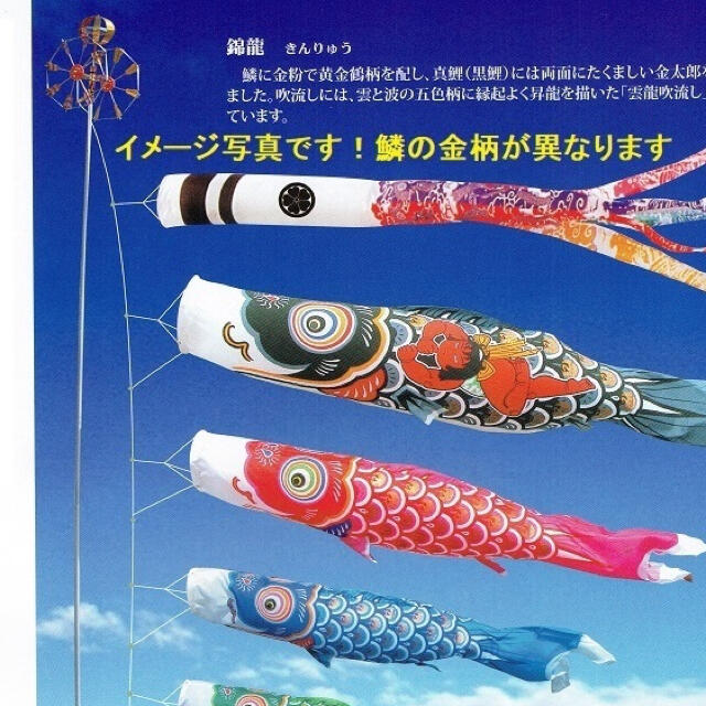 定価20万○6割引!! 新品 高級サテン 黄金兜鯉6m6点セット 徳永