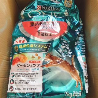 ピュリナワン　室内外用インドアキャット　サーモン&ツナ味(ペットフード)