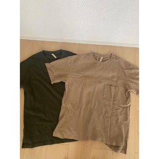 サイ(Scye)のscye basics 鹿子素材スリットtシャツ　38サイズ　2枚セット(Tシャツ/カットソー(半袖/袖なし))