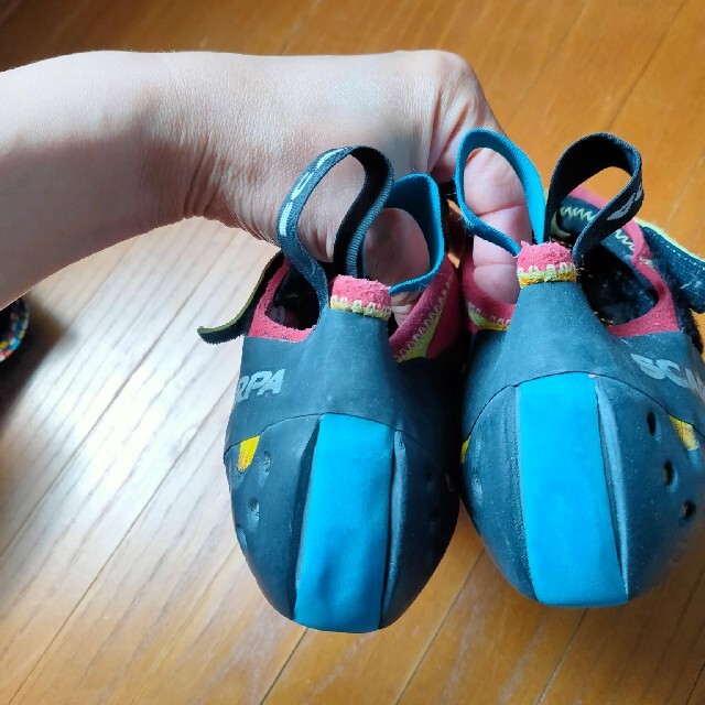 SCARPA(スカルパ)のクライミングシューズ　37 スポーツ/アウトドアのスポーツ/アウトドア その他(その他)の商品写真