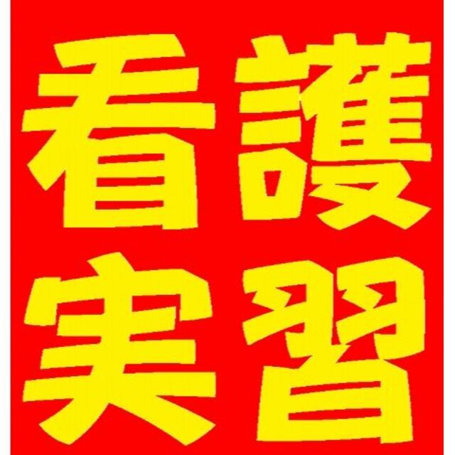 看護師 看護学生 Ns Nrs 看護計画 経過記録 疾患別特徴 関連図 看護実習 エンタメ/ホビーの本(健康/医学)の商品写真