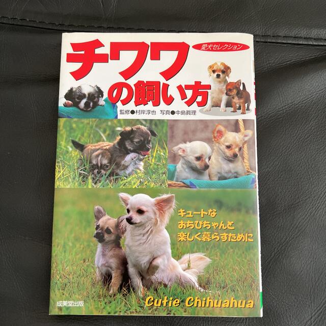 チワワの飼い方⭐︎ その他のペット用品(犬)の商品写真