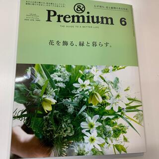 マガジンハウス(マガジンハウス)の&Premium (アンド プレミアム) 2022年 06月号(その他)